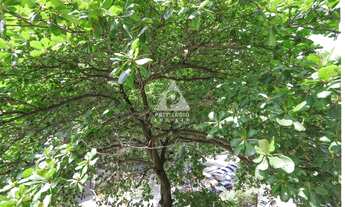 Imagem 6: Apartamento à venda, 3 quartos, 1 suíte, Laranjeiras - RIO DE JANEIRO/RJ