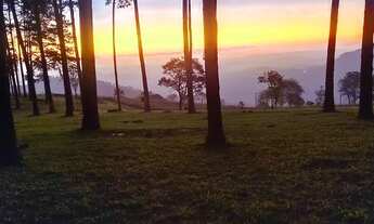 Imagem: Imóvel para venda possui 1000 metros quadrados