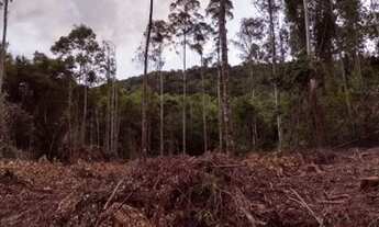 Imagem 2: Área à venda, 20978 m² por R$ 250.000,00 - Vila Olinda - Nova Petrópolis/RS