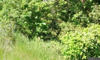 Imagem 3: Lote/Terreno para venda com 14000 metros quadrados em Centro - Mata de São João - BA