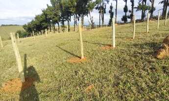 Imagem 3: R5- Terrenos de 600 metros quadrados com área de lazer completo