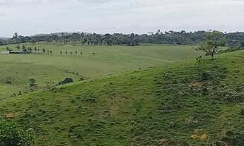 Imagem 4: Vendo Excelente Fazenda Em Presidente Tranquedo Neves