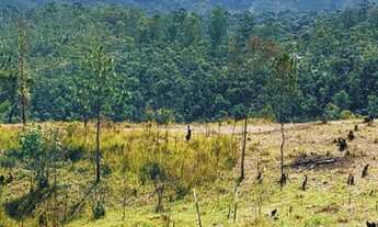 Imagem 8: 89m-Terrenos no Recanto das aguas, lindo! Venha garantir o seu