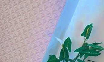 Imagem 5: Vendo Apto Apartamento com 2 dormitórios