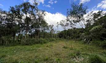 Imagem 6: TERRENO À VENDA EM SÃO JOSÉ DOS PINHAIS, PROXIMO AO PEDAGIO DA BR 277