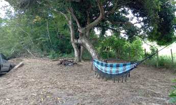 Imagem 2: ótimo sitio em terra nova bahia