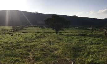 Imagem 3: W36-Lotes com preços que cabem no seu bolso