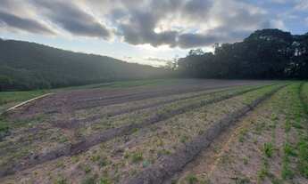 Imagem 6: O/26* Promoção !! só em Cotia-SP Terrenos 35.000 mil