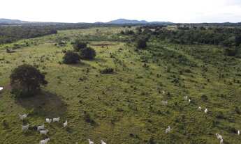 Imagem 5: Fazenda à venda na região do município de Gurupi - To