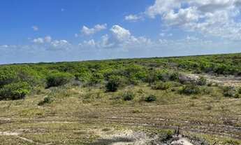Imagem 6: Lotes Lençóis Maranhense
