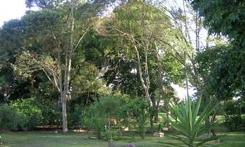 Imagem 2: FAZENDA RIO GRANDE - Terreno Padrão - Estados