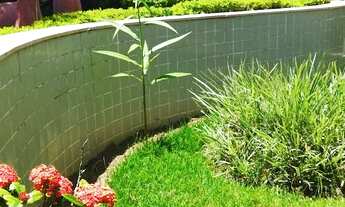 Imagem 3: Apartamento em costa azul, 02 quartos, perto da praia, condominio com elevador, piscina