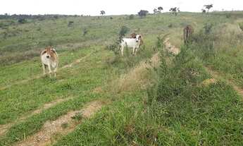 Imagem 2: Fazenda Maquine - Terrenos Rurais em Araçai, próximo a BR040 !! Agende sua visita