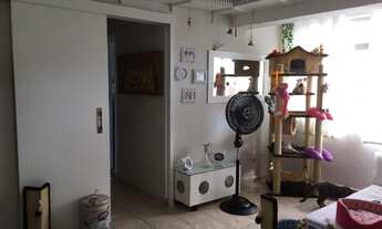 Imagem 4: SANTOS - Apartamento Padrão - APARECIDA