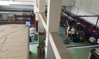 Imagem 6: Galpao - São Paulo - SP - Parque Novo Mundo