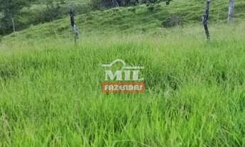 Imagem: Chácara 8.5 alqueires ( Oito Alqueires