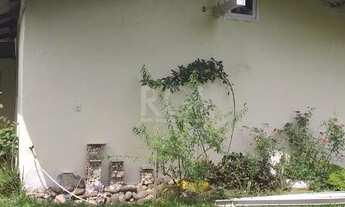 Imagem 3: Porto Alegre - Casa Padrão - São Caetano