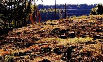 Imagem 3: Terreno à venda, 681 m² por R$ 150.000 - Pinhal Alto - Nova Petrópolis/RS