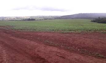 Imagem 4: 206 alqueires em Doverlandia-Go