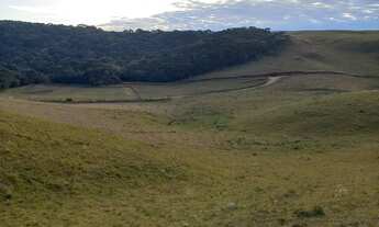 Imagem 6: Chácara 5 km asfalto Juá
