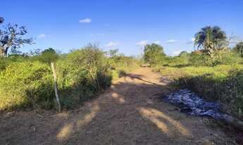 Imagem 4: Terreno para chácara em São José