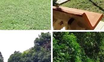 Imagem: Vendo Rancho