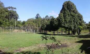 Imagem 2: Terreno na pista AM010, Km 51 com 1.000.000m2 - 860 mts de frente