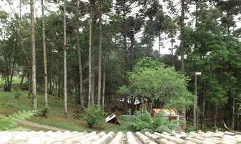 Imagem 3: Fazenda/Sítio/Chácara para venda com 8281 metros quadrados com 1 quarto