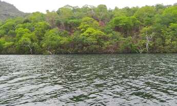 Imagem 3: Area com 28 alqueires