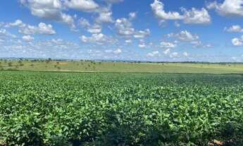 Imagem 4: Fazenda 180ha entre Amambai e Coronel Sapucaia-MS