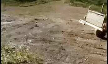 Imagem 4: Chácara no DF Chácara com venda por R$180.000