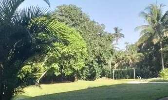 Imagem 2: Chácara alugo pra eventos