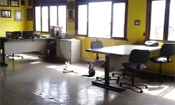 Imagem 2: Ótimo galpão coberto, com terreno de 800m² [VP