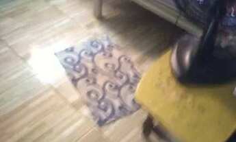 Imagem 3: Casa para venda possui 120 metros quadrados com 2 quartos em Telégrafo Sem Fio - Belém