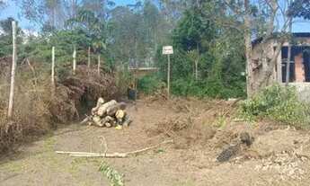 Imagem: Oportunidade ÚNICA Meio Lote Ribeirão