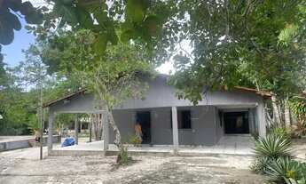 Imagem 2: Fazenda/Sítio/Chácara para venda com 400 metros quadrados com 2 quartos