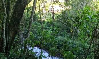 Imagem 7: Belíssimo terreno com vista para área verde