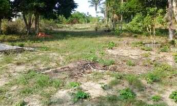 Imagem 3: Sítio Chácara com venda por R$180.000