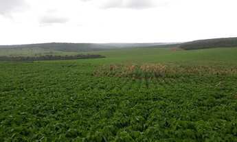 Imagem 6: 206 alqueires em Doverlandia-Go