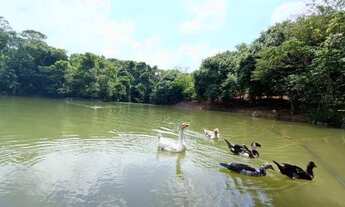 Imagem 2: Condomínio Do Lago, 4 Suítes !
