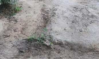 Imagem 2: Casa de cinco cômodos em uma chácara para vender