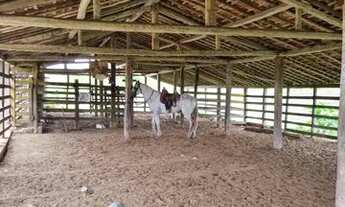 Imagem 5: Fazenda Em Umbauba