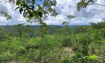 Imagem 4: Terreno rural 2,3ha com rio nos fundos Jaboticatubas