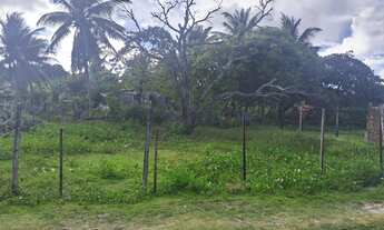 Imagem 2: Terreno a venda/troca no bairro santa Cecília