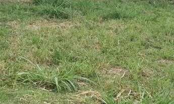 Imagem 8: TERRENO À VENDA | CONDOMÍNIO SOLEIL | 260m2 | BONGUE