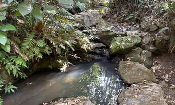 Imagem 3: Ótima Chácara em Itaberaí