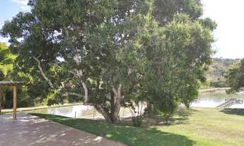 Imagem 4: Sítio de 14.3 alq em Silvânia Goiás