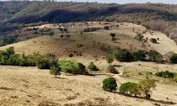Imagem 6: Fazenda de 70 alqueires em Pontalina go