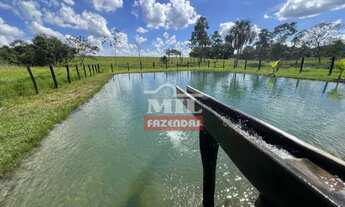 Imagem 7: Chácara 5,12 Alqueire (24,78 hectares) Mairipotaba - Go