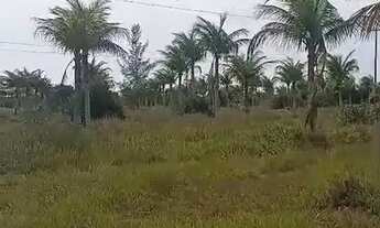 Imagem: Imóvel para venda tem 3000800 metros quadrados